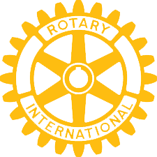 Rotary gear